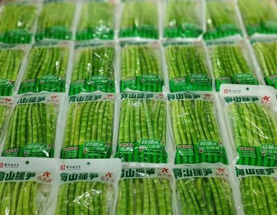 赤水市:竹業(yè)“串”起低碳路