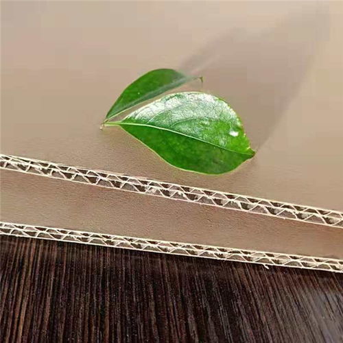 紙盒包裝 思信科技信得過企業(yè) 紙盒包裝價格