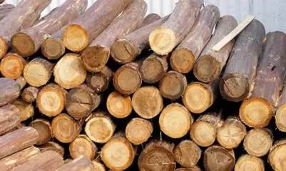 深度解析木制品行業(yè)的5大特點(diǎn),及森林認(rèn)證對(duì)其的影響