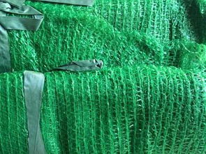 工地遮陽網價格 衡水市桃城區金泰包裝材料加工廠銷售部 帆布